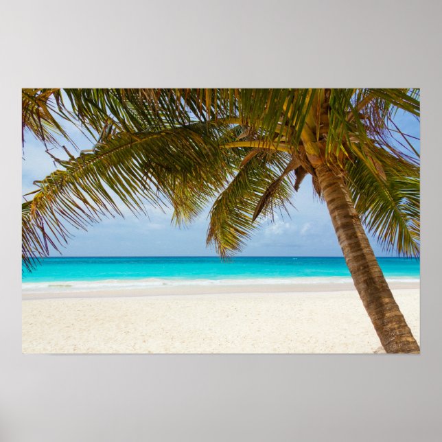 Poster Plage du Paradis tropical (Devant)