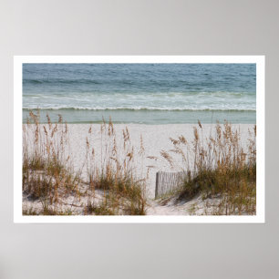 Poster Plage et océan