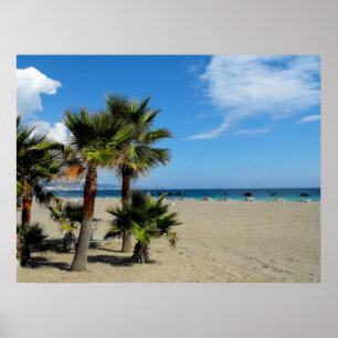 Poster Plage et palmiers à Puerto Banus