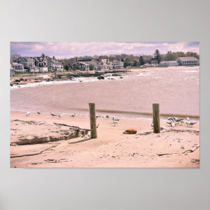 Poster Plage le Connecticut vivant de Madison