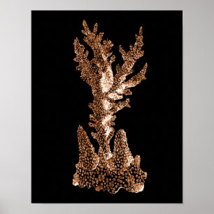 Poster Plage marine côtière corail mer noir