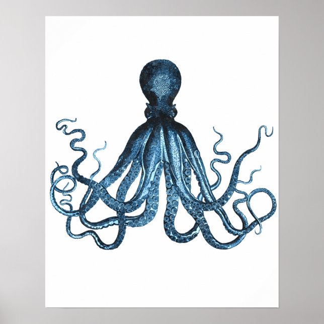 Poster Plage océanique de la mer d'Octopus kraken mer côt (Devant)