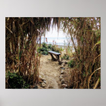Plage Old Man's Beach - San Onofre State Beach