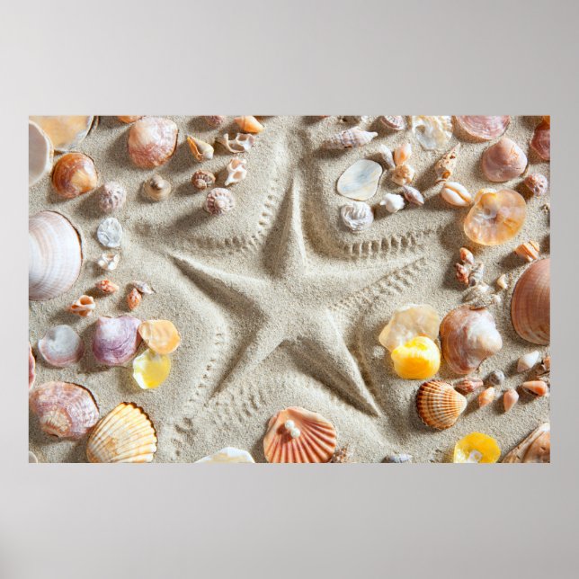 Poster Plage Sable Blanc Coquillage (Devant)