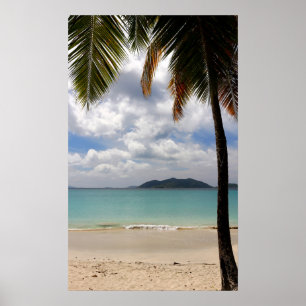 Poster Plage tropicale