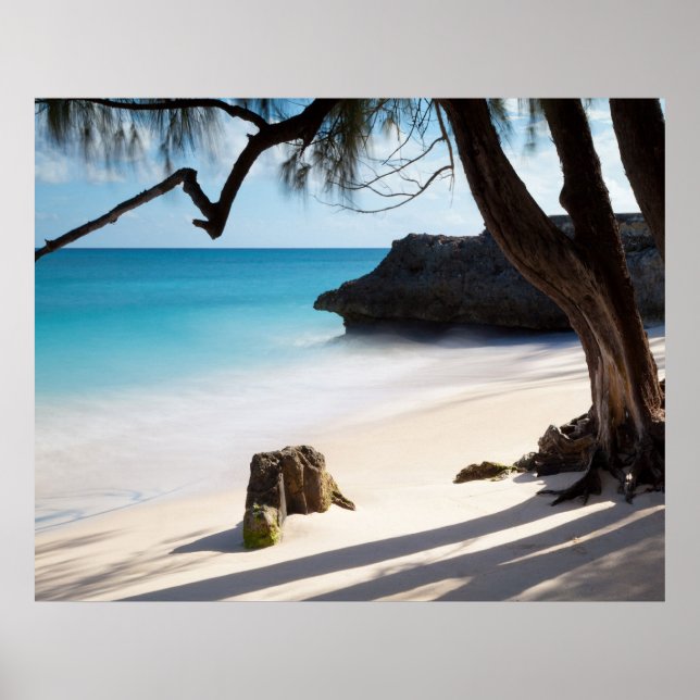 Poster Plage tropicale (Devant)