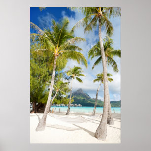 Poster Plage tropicale