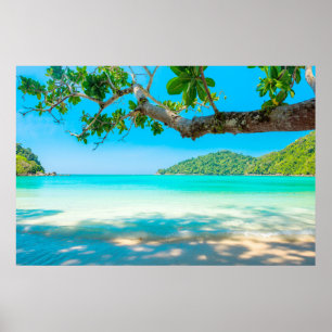 Poster Plage tropicale