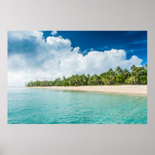 Poster Plage tropicale bordée de palmiers