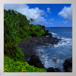 Poster Plage tropicale de Maui Hawaiian Island