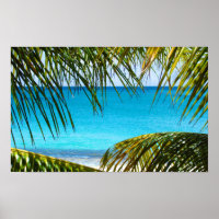 Plage tropicale encadrée de palmiers