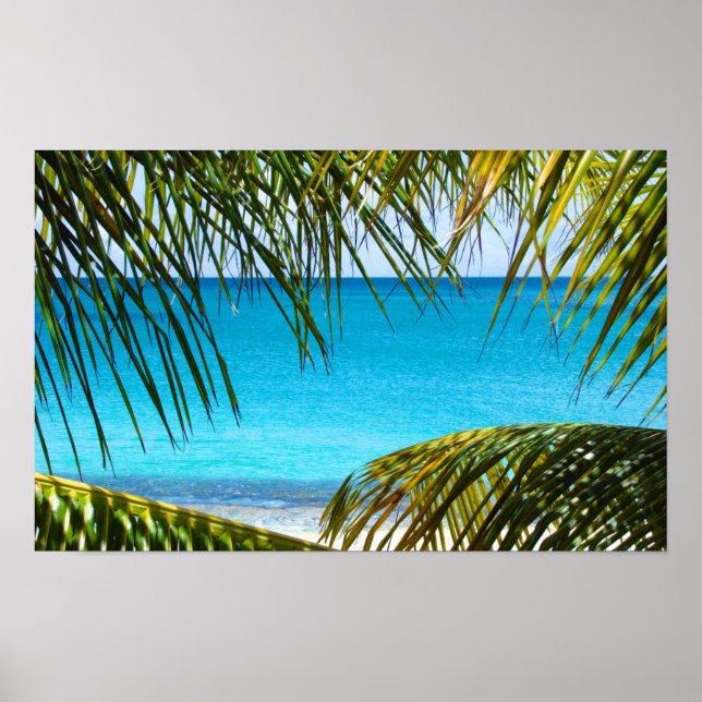 Poster Plage tropicale encadrée de palmiers (Devant)