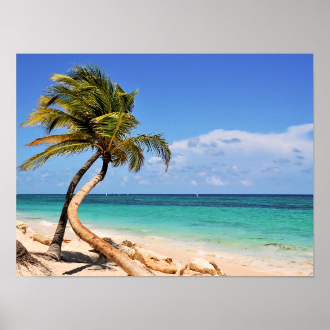 Poster Plage Tropicale Et Palmier (Devant)