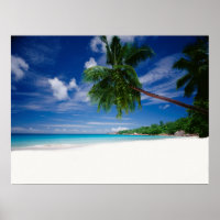 Plage tropicale | Seychelles