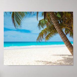 Poster Plage tropicale Turquoise