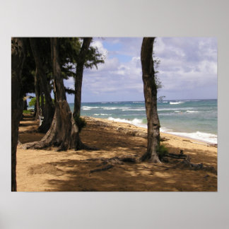 Poster Plage, Wailua, Kauai