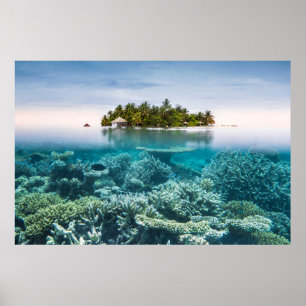 Poster Plages tropicales Ari Atoll Maldives