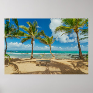 Poster Plages tropicales   Kuau Cove Beach, Maui Hawaii