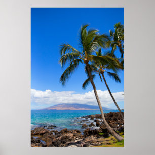 Poster Plages tropicales   Maui Hawaii