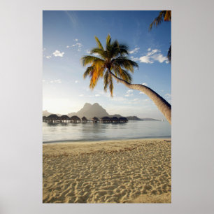 Poster Plages tropicales   Plages, Bora Bora