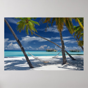 Poster Plages tropicales   Sandy Beach, Maldives