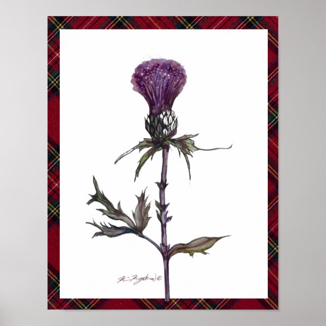 Poster plaid et chardon (Devant)
