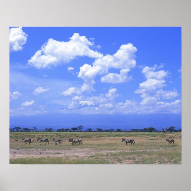 Poster Plaine de Grassy (Devant)