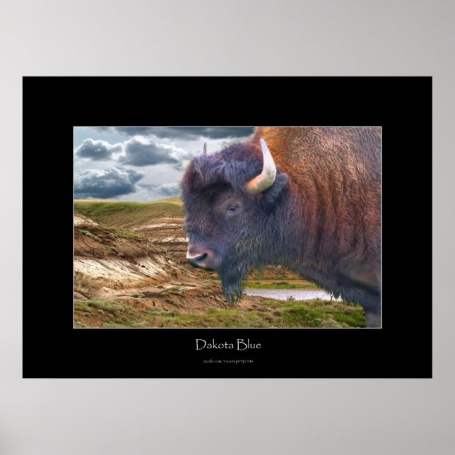 Poster Plaines sauvages L'art faunique Buffalo (Devant)