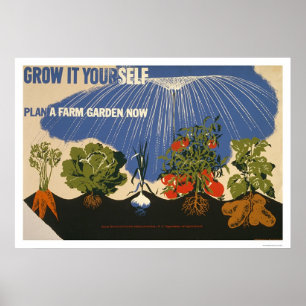 Poster Plan A Farm Garden 1941 WPA