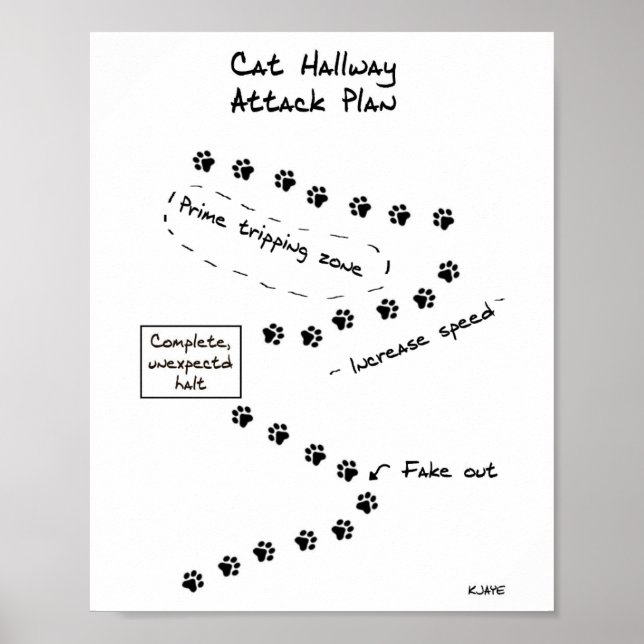 Poster Plan d'attaque du couloir (Devant)