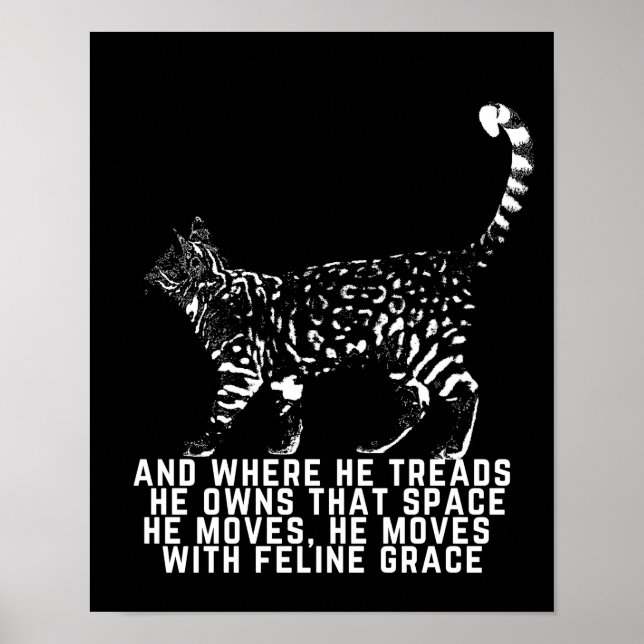 Poster Plan de chat avec poème de grâce félin noir (Devant)