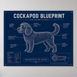 Poster Plan de Cockapoo sur toile Cadeau pour amateur de 