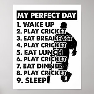 Poster Plan de journée de cricket joueur de cricket