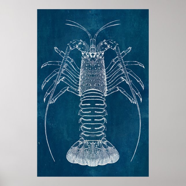 Poster Plan directeur du homard (Devant)