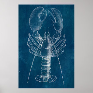 Poster Plan directeur du homard