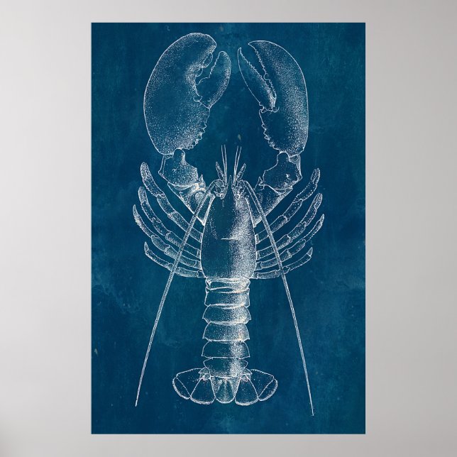 Poster Plan directeur du homard (Devant)