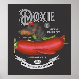 Poster Plan En Saucisson Volant De Cute Dachshund