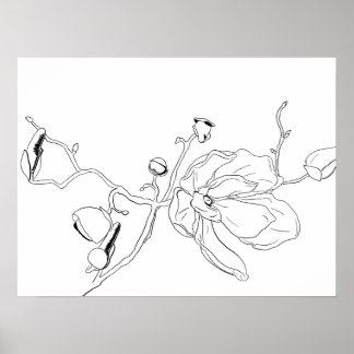 Poster Plan minimaliste Fleur simple Magnolia