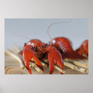 Poster Plan rapproché d'un crabe sur des bâtons