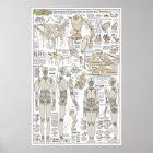 Plans de construction de la marionnette