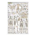 Plans de construction de la marionnette