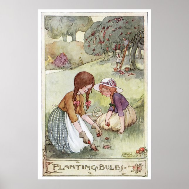 Poster Plantation d'ampoules par Anne Anderson (Devant)