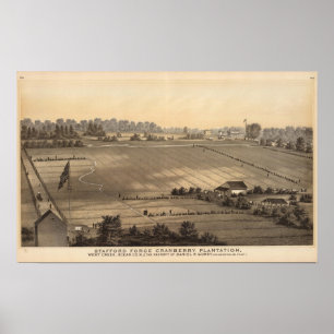 Poster Plantation de canneberge de forge de Stafford,