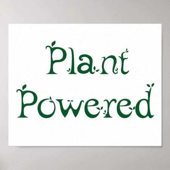 Poster Plante (Devant)