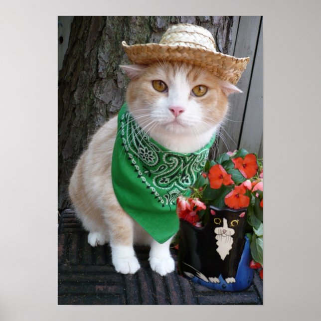 Poster Plante (Devant)