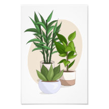 Poster plante 3 vectoriels Imprimer Mes Sims 4 CC