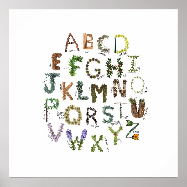 Poster Plante Alphabet Nature Nursery Botanique ABC (Devant)