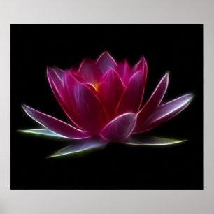 Poster Plante aquatique de fleur de Lotus