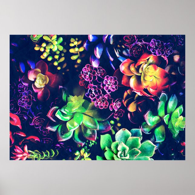 Poster Plante coloré (Devant)