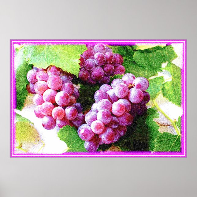 Poster "Plante de fruits de raisins" jolie photo. Command (Devant)